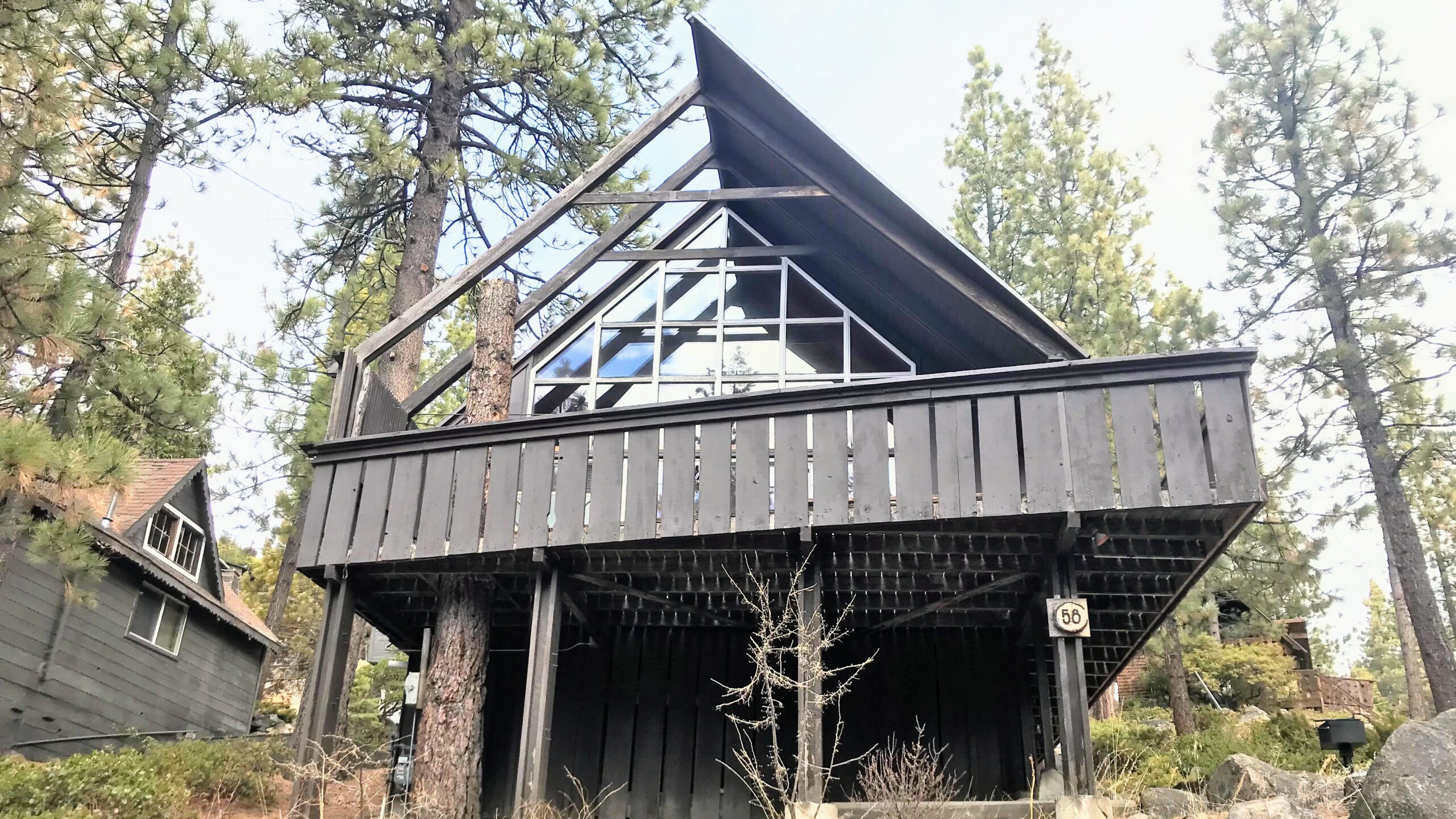 A house in a forest